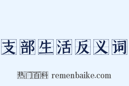 支部生活反义词是什么意思的图片
